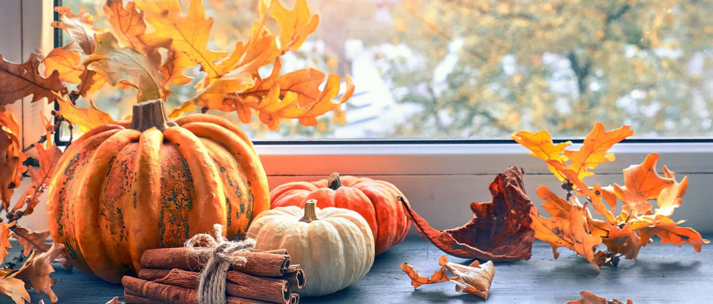 45x45cm cases add cozy charm