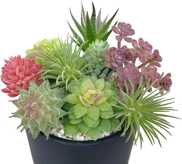 9-Piece Set of Artificial Succulents – Variety of Small Indoor Plants for Home Decor